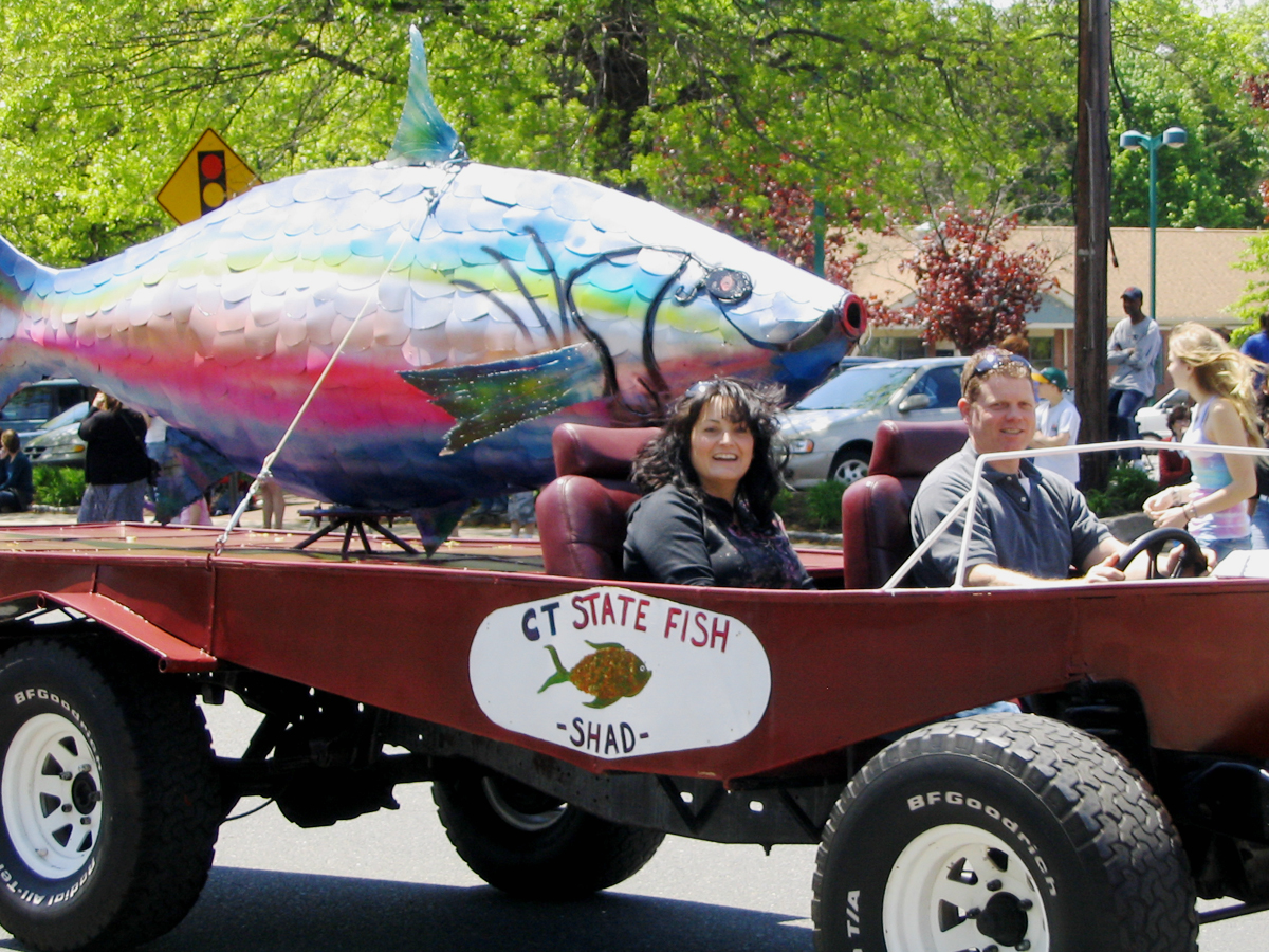 Shad-Derby-shad-float-2008.21.1.22 Float from the 2008 Shad Derby parade.